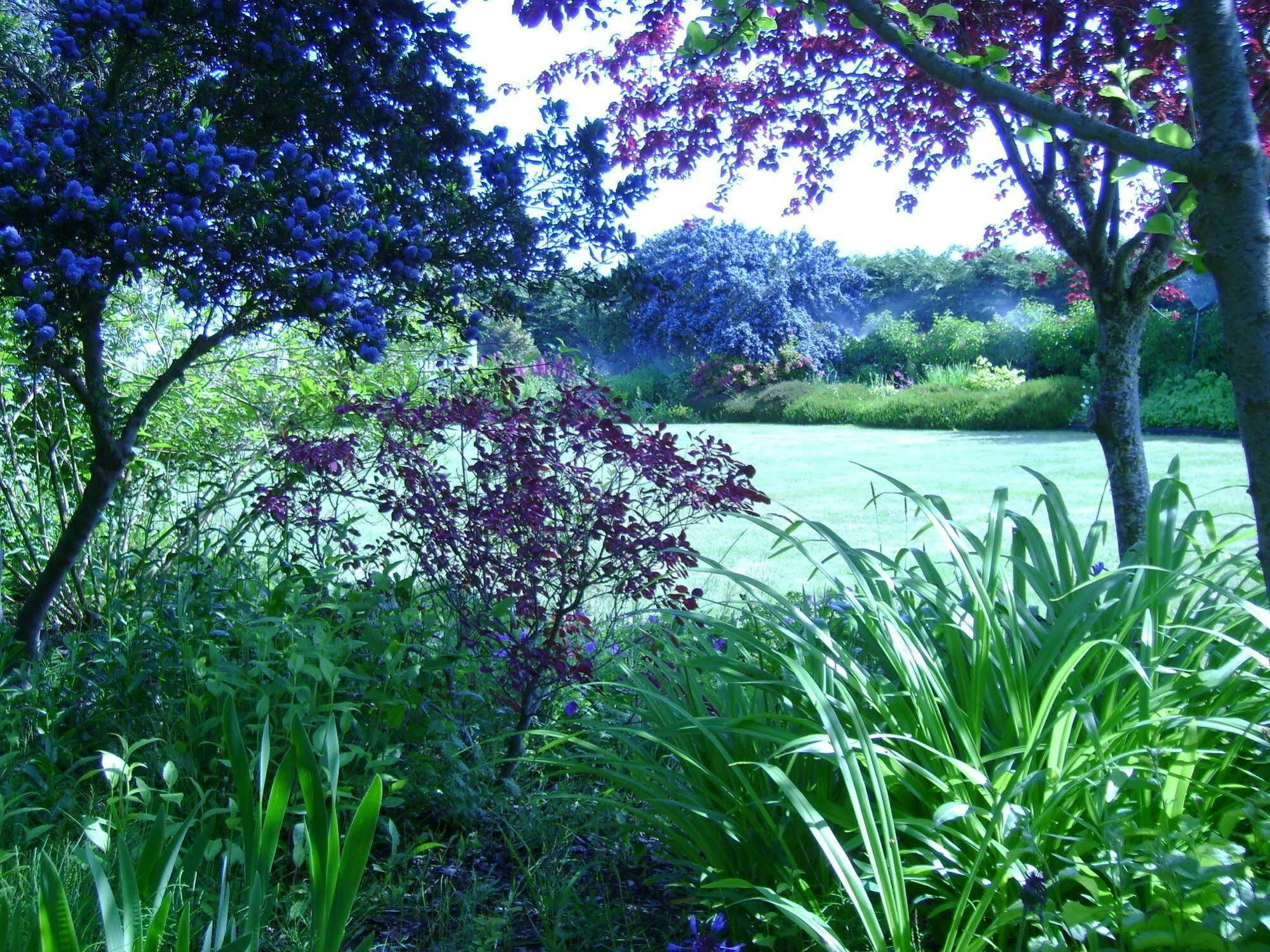 Sea Cliff Gardens Bed & Breakfast Port Angeles Eksteriør bilde